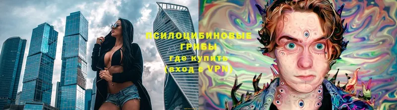 Псилоцибиновые грибы мицелий  Покров 