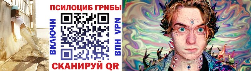 Галлюциногенные грибы Psilocybine cubensis  Покров 